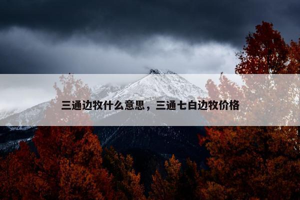三通边牧什么意思，三通七白边牧价格