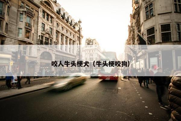 咬人牛头梗犬（牛头梗咬狗）