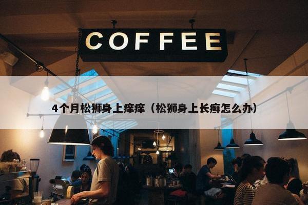 4个月松狮身上痒痒（松狮身上长癣怎么办）