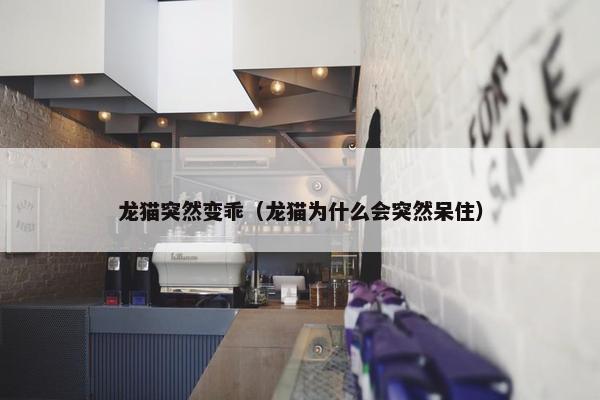 龙猫突然变乖（龙猫为什么会突然呆住）