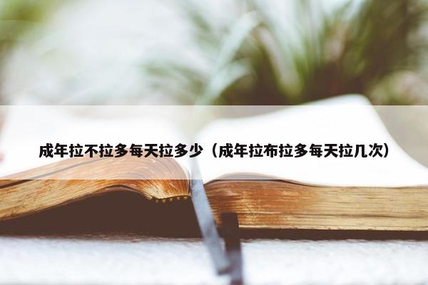 成年拉不拉多每天拉多少（成年拉布拉多每天拉几次）