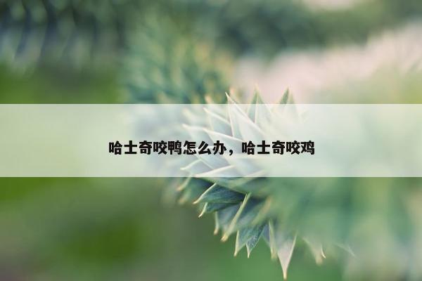 哈士奇咬鸭怎么办，哈士奇咬鸡