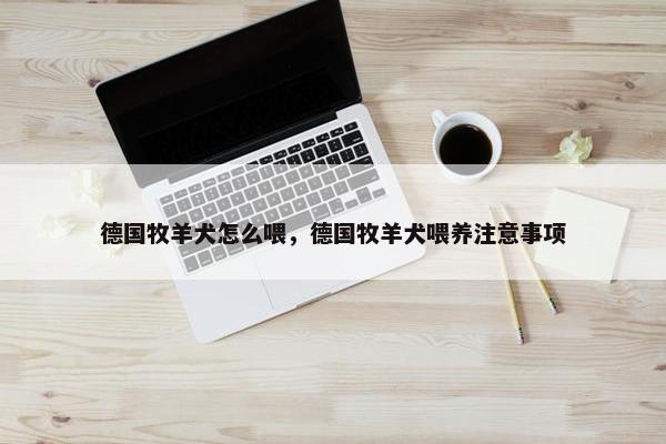 德国牧羊犬怎么喂，德国牧羊犬喂养注意事项