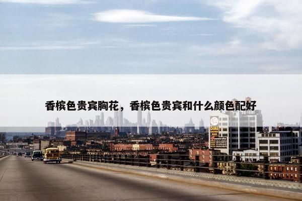 香槟色贵宾胸花，香槟色贵宾和什么颜色配好
