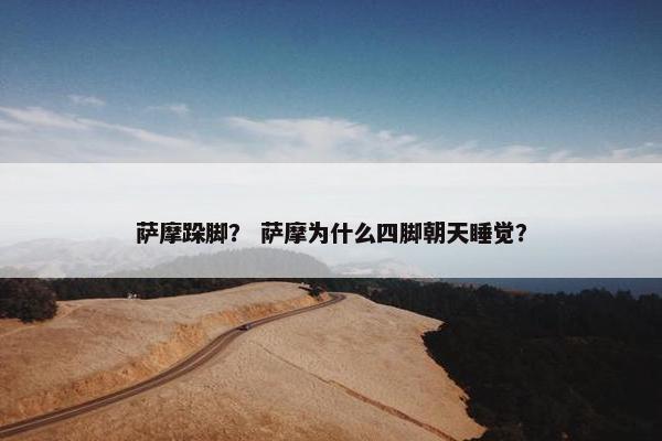 萨摩跺脚？ 萨摩为什么四脚朝天睡觉？