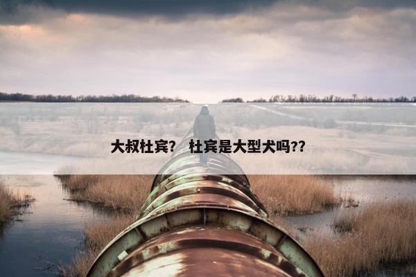 大叔杜宾？ 杜宾是大型犬吗?？