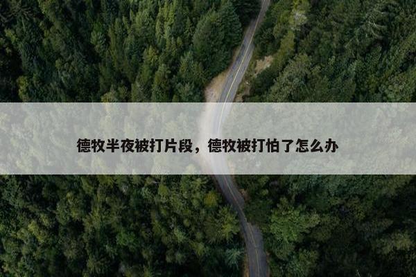 德牧半夜被打片段，德牧被打怕了怎么办