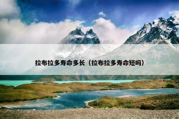拉布拉多寿命多长（拉布拉多寿命短吗）