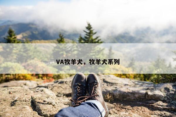 VA牧羊犬，牧羊犬系列