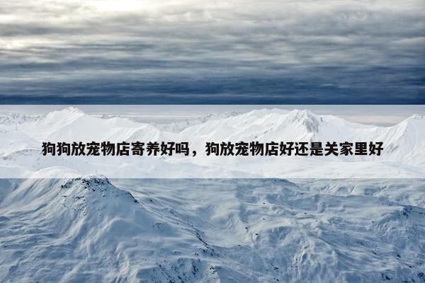 狗狗放宠物店寄养好吗，狗放宠物店好还是关家里好