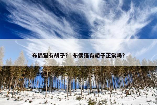 布偶猫有胡子？ 布偶猫有胡子正常吗？