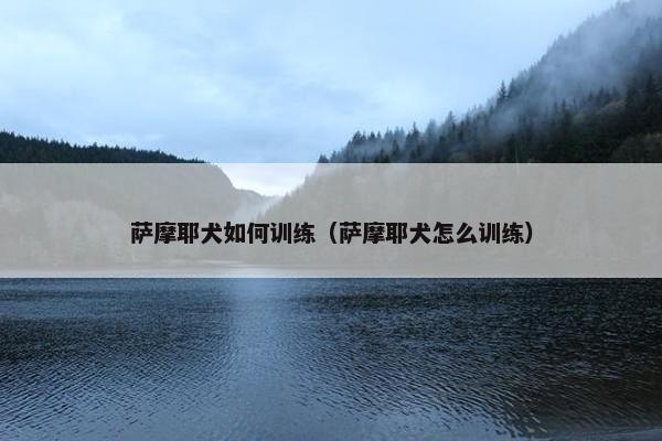 萨摩耶犬如何训练（萨摩耶犬怎么训练）