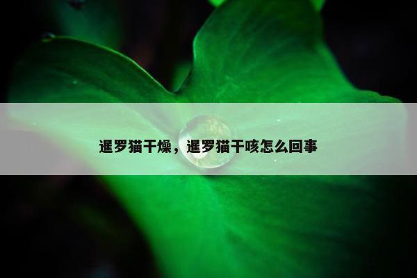 暹罗猫干燥，暹罗猫干咳怎么回事