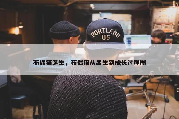 布偶猫诞生，布偶猫从出生到成长过程图