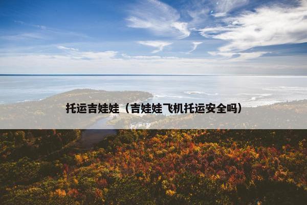托运吉娃娃（吉娃娃飞机托运安全吗）