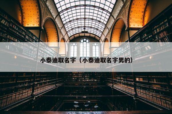 小泰迪取名字（小泰迪取名字男的）