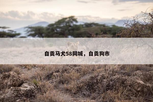 自贡马犬58同城，自贡狗市