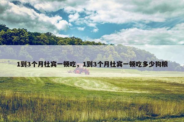 1到3个月杜宾一顿吃，1到3个月杜宾一顿吃多少狗粮