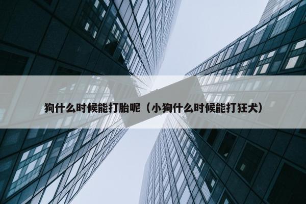 狗什么时候能打胎呢（小狗什么时候能打狂犬）