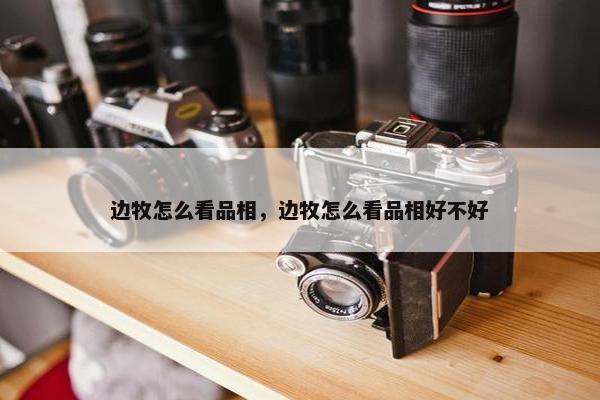 边牧怎么看品相，边牧怎么看品相好不好