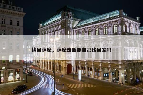 捡回萨摩，萨摩走丢能自己找回家吗