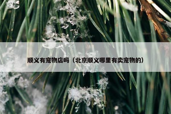 顺义有宠物店吗（北京顺义哪里有卖宠物的）