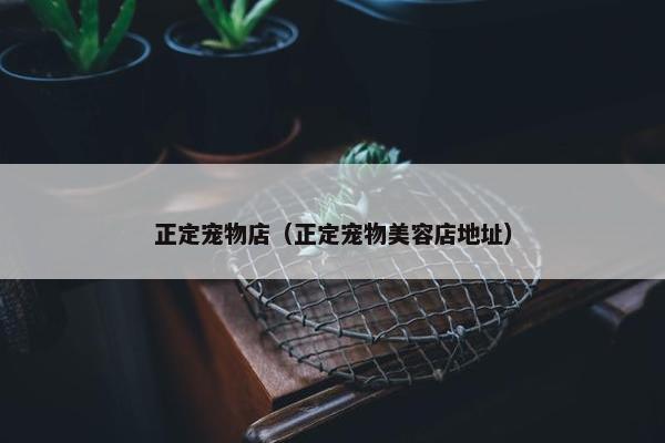 正定宠物店（正定宠物美容店地址）