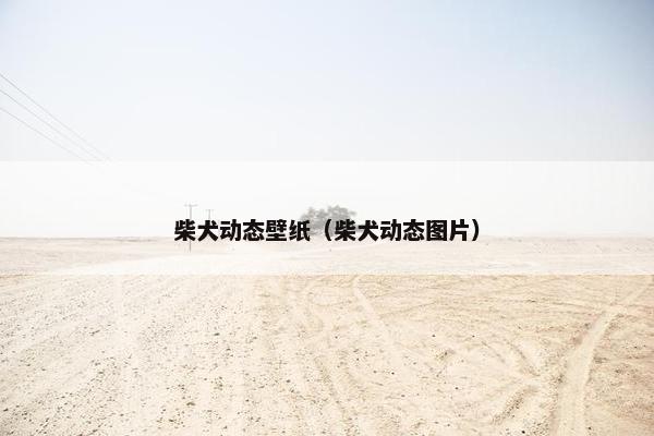 柴犬动态壁纸（柴犬动态图片）