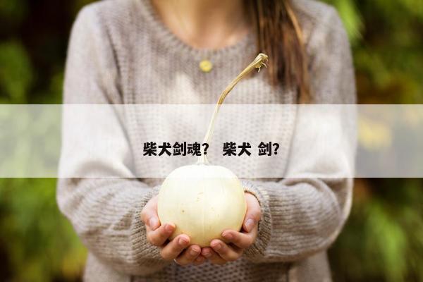 柴犬剑魂？ 柴犬 剑？