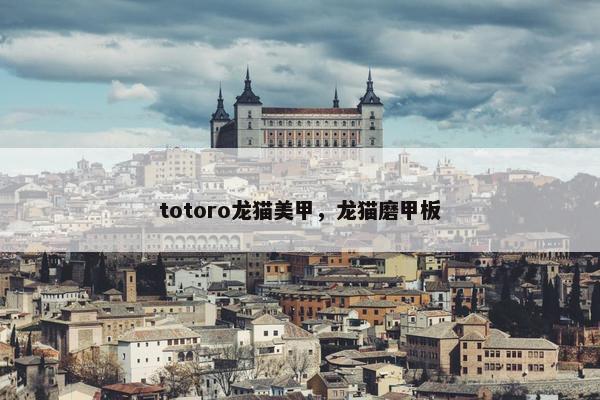 totoro龙猫美甲，龙猫磨甲板