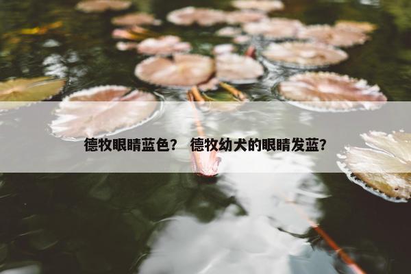 德牧眼睛蓝色？ 德牧幼犬的眼睛发蓝？