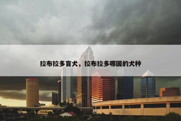 拉布拉多盲犬，拉布拉多哪国的犬种