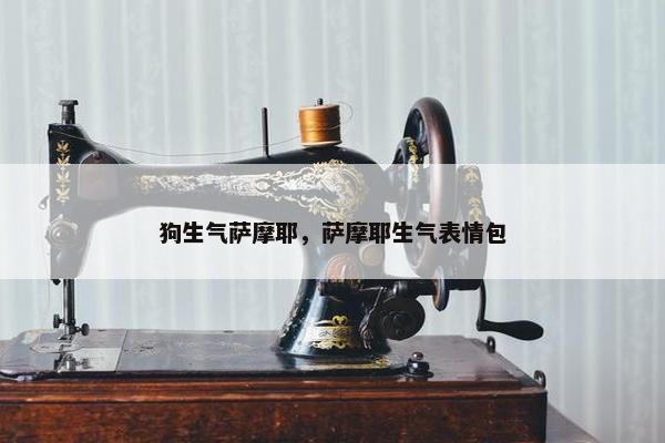 狗生气萨摩耶，萨摩耶生气表情包