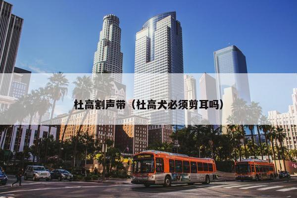 杜高割声带（杜高犬必须剪耳吗）