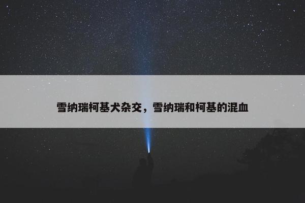 雪纳瑞柯基犬杂交，雪纳瑞和柯基的混血
