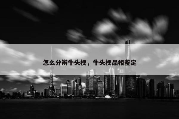 怎么分辨牛头梗，牛头梗品相鉴定