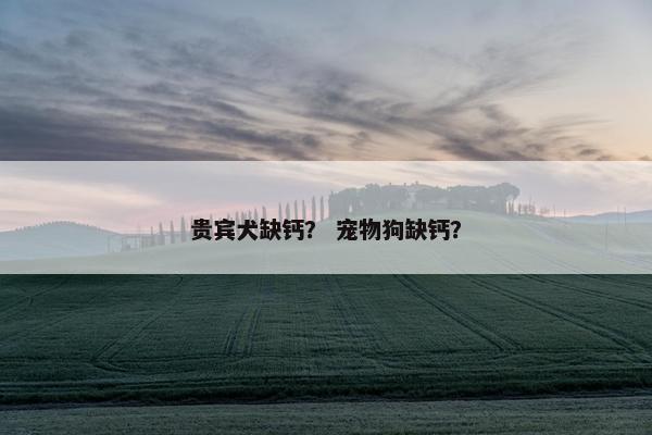 贵宾犬缺钙？ 宠物狗缺钙？