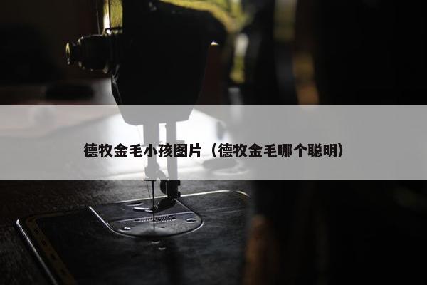 德牧金毛小孩图片（德牧金毛哪个聪明）