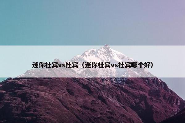 迷你杜宾vs杜宾（迷你杜宾vs杜宾哪个好）