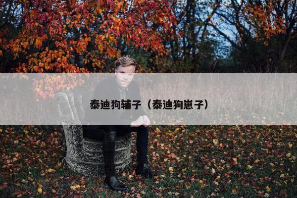 泰迪狗辅子（泰迪狗崽子）