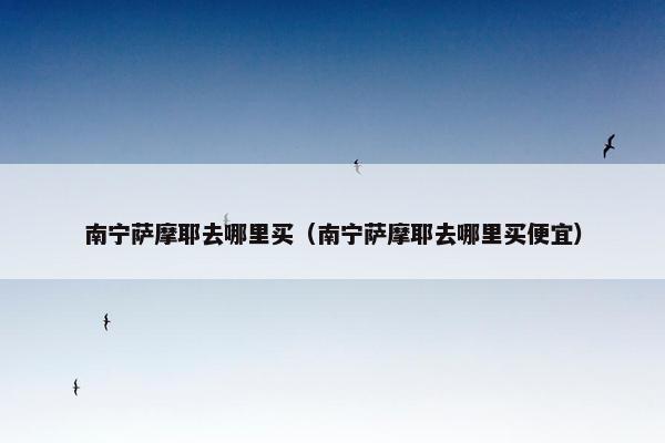 南宁萨摩耶去哪里买（南宁萨摩耶去哪里买便宜）