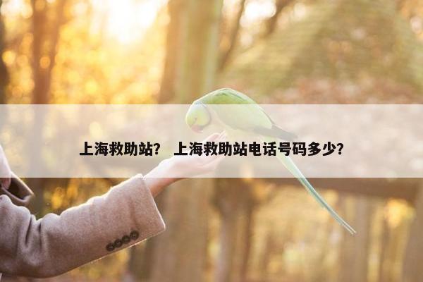 上海救助站？ 上海救助站电话号码多少？