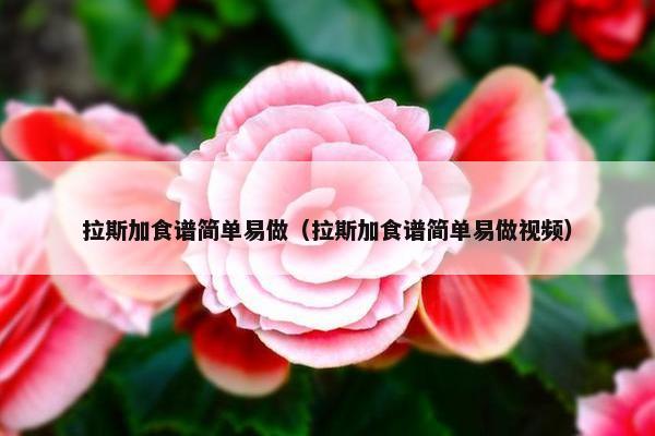 拉斯加食谱简单易做（拉斯加食谱简单易做视频）