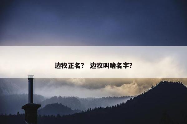 边牧正名？ 边牧叫啥名字？