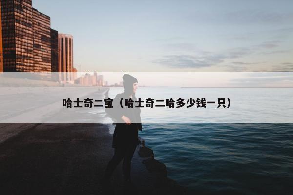 哈士奇二宝（哈士奇二哈多少钱一只）