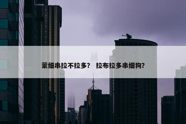 蒙细串拉不拉多？ 拉布拉多串细狗？
