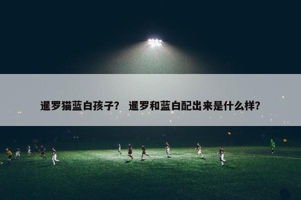 暹罗猫蓝白孩子？ 暹罗和蓝白配出来是什么样？
