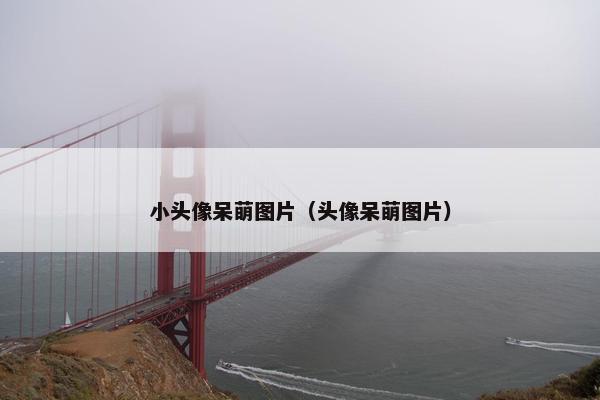 小头像呆萌图片（头像呆萌图片）