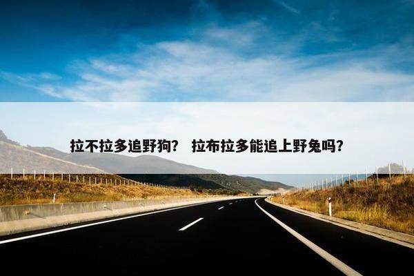 拉不拉多追野狗？ 拉布拉多能追上野兔吗？