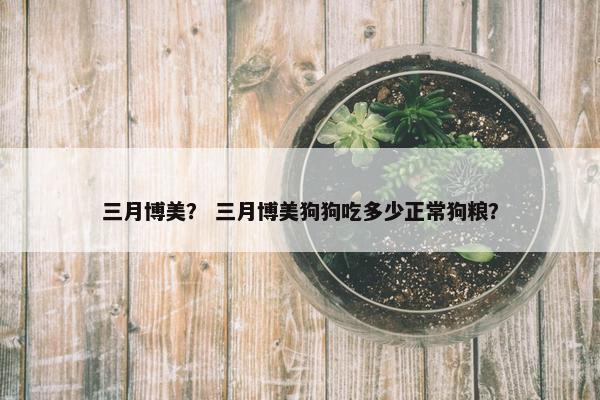三月博美？ 三月博美狗狗吃多少正常狗粮？